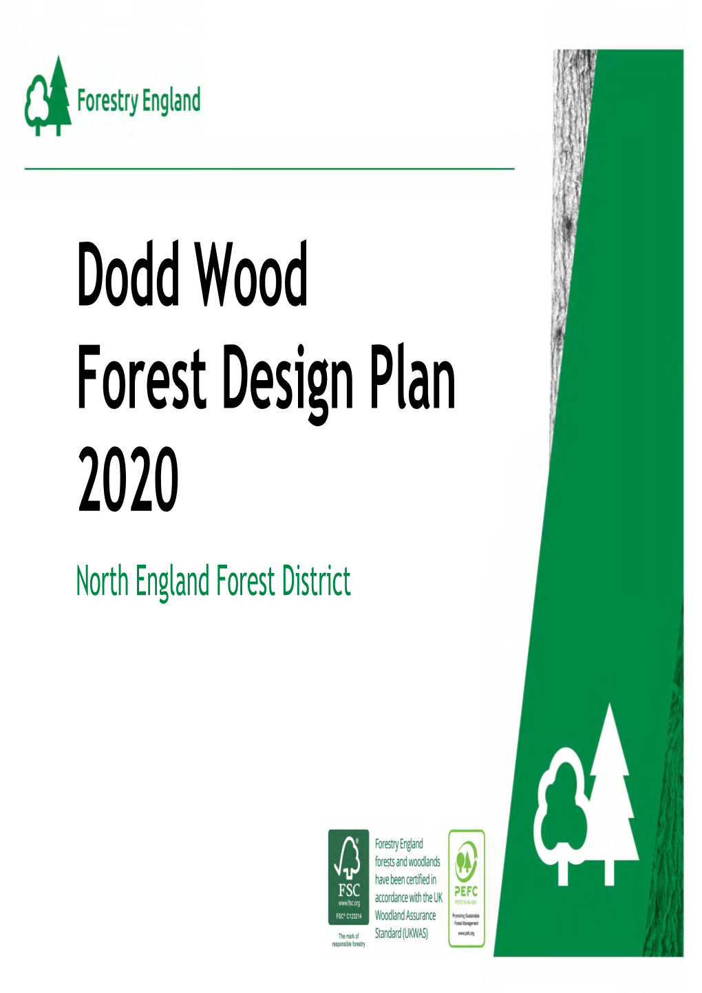 Dodd Wood Forest Design Plan 2020