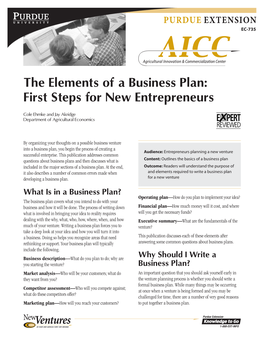 The Elements of a Business Plan: First Steps for New Entrepreneurs