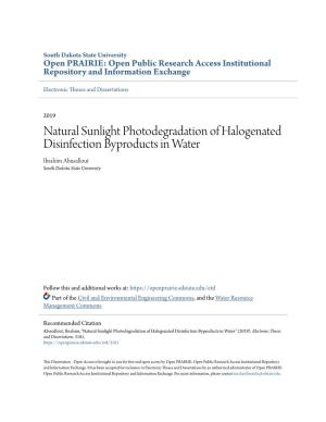 Natural Sunlight Photodegradation of Halogenated Disinfection Byproducts in Water Ibrahim Abusallout South Dakota State University