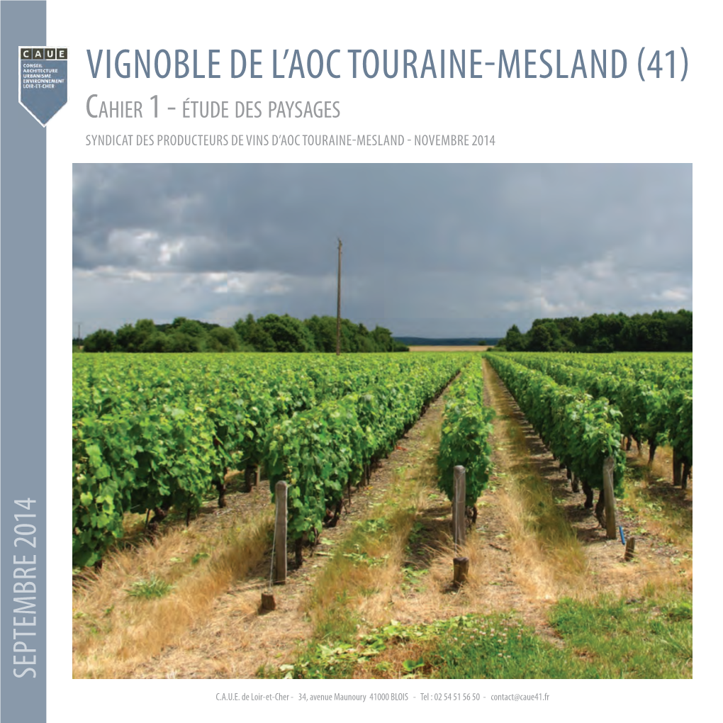 Vignoble De L'aoc Touraine-Mesland