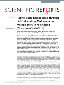Retinoic Acid Homeostasis Through Aldh1a2 and Cyp26a1 Mediates