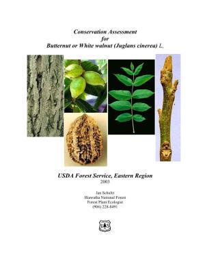 Conservation Assessment for Butternut Or White Walnut (Juglans Cinerea) L. USDA Forest Service, Eastern Region