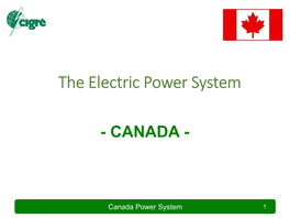 The Electric Power System