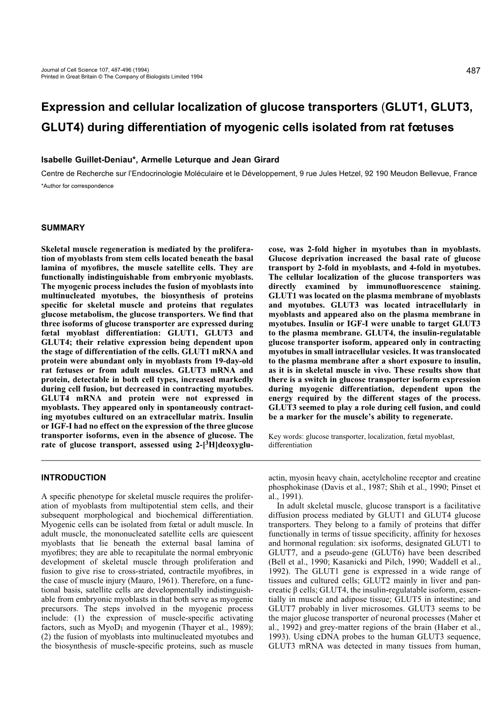 Expression and Cellular Localization of Glucose Transporters (GLUT1, GLUT3, GLUT4) During Differentiation of Myogenic Cells Isolated from Rat Fïtuses