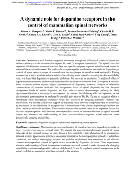 A Dynamic Role for Dopamine Receptors in the Control of Mammalian Spinal Networks Simon A
