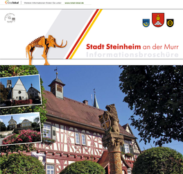 Stadt Steinheim an Der Murr Informationsbroschüre Inhaltsverzeichnis