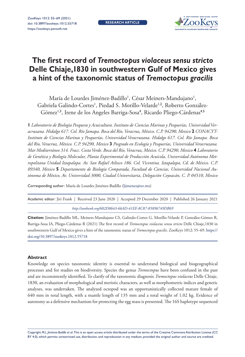 The First Record of Tremoctopus Violaceus Sensu Stricto Delle Chiaje,1830 in Southwestern Gulf of Mexico Gives a Hint of the Taxonomic Status of Tremoctopus Gracilis