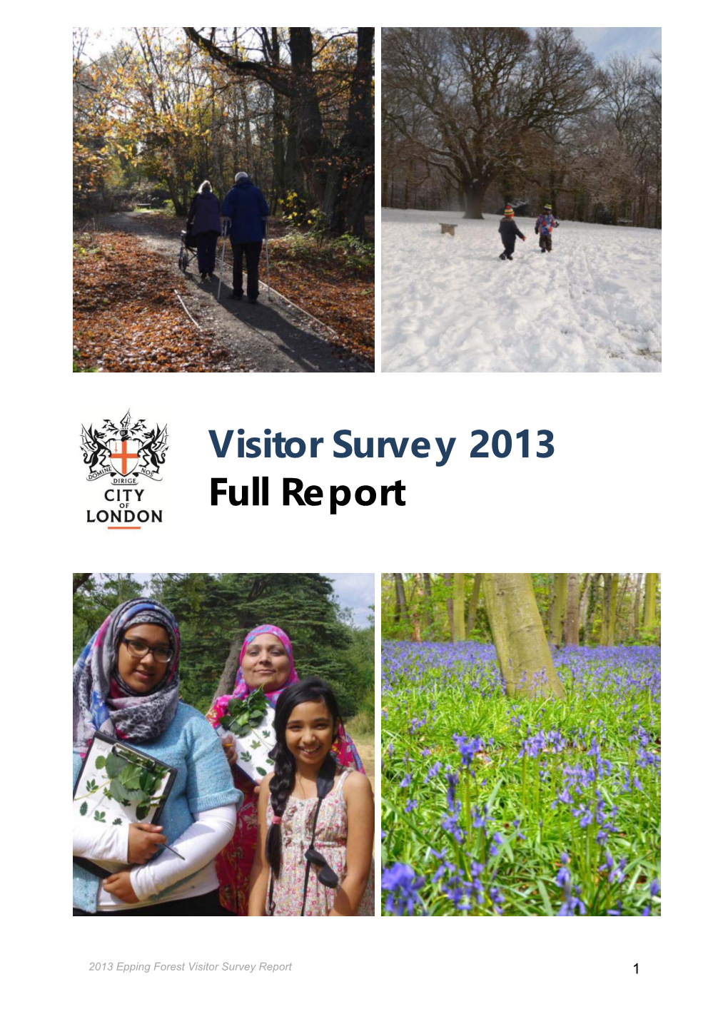 Visitor Survey 2013 Full Report