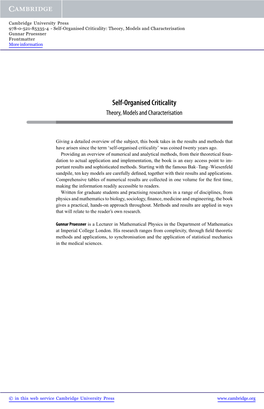 Self-Organised Criticality: Theory, Models and Characterisation Gunnar Pruessner Frontmatter More Information