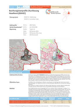 Bezirksregionenprofile | Kurzfassung Haselhorst (050307)