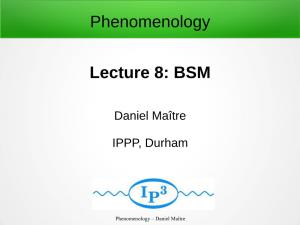 Phenomenology Lecture 8