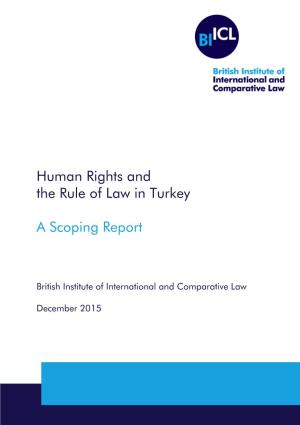 The Rule of Law and Human Rights in Turkey