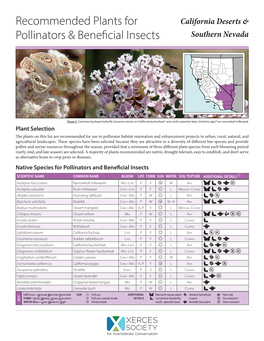 Recommended Plants for Pollinators & Beneficial Insects