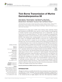 Tick-Borne Transmission of Murine Gammaherpesvirus 68