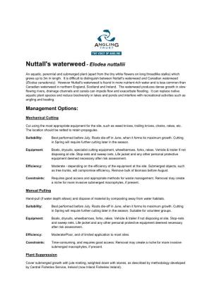 Nuttall's Waterweed- Elodea Nuttallii