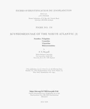 Scyphomedusae of the North Atlantic (2)