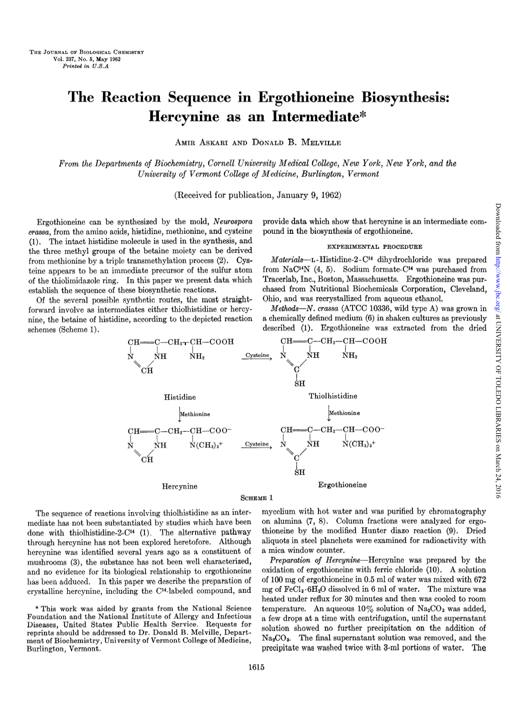 The Reaction Sequence in Ergothioneine Biosynthesis: Hercynine As an Intermediate*