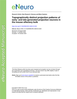 Topographically Distinct Projection Patterns of Early- and Late-Generated Projection Neurons in the Mouse Olfactory Bulb