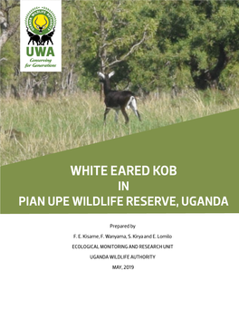 White-Eared Kob Sighted in Pian-Upe Wildlife Reserve