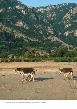 Rapid Assessment of the Ecological Value of the Bojana – Buna Delta (Albania/Montenegro)