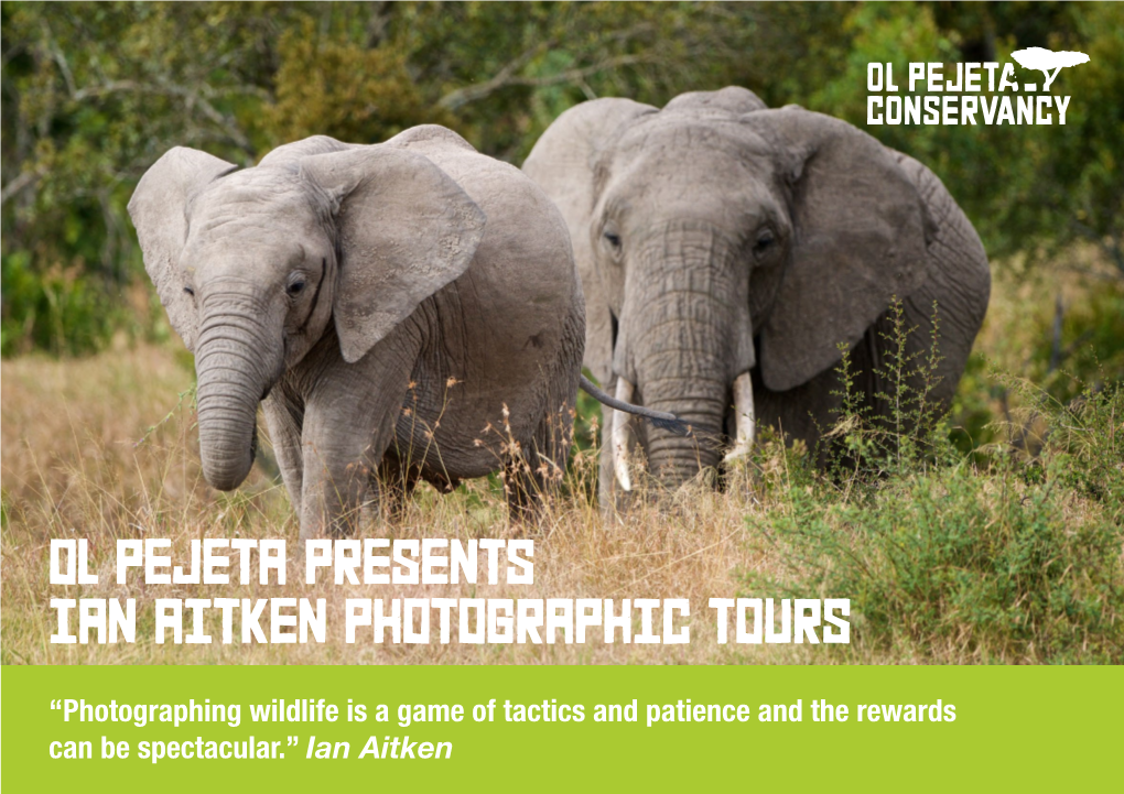 Ol Pejeta Presents Ian Aitken Photographic Tours