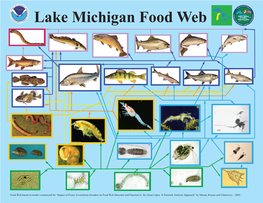 Lake Michigan Food Web