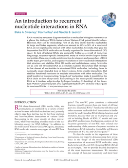 An Introduction to Recurrent Nucleotide Interactions in RNA Blake A