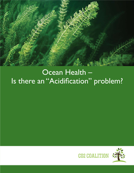 Ocean Health White Paper REV 052820.Indd