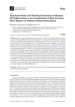 Functional Role of N-Terminal Extension of Human AP Endonuclease 1 in Coordination of Base Excision DNA Repair Via Protein–Protein Interactions