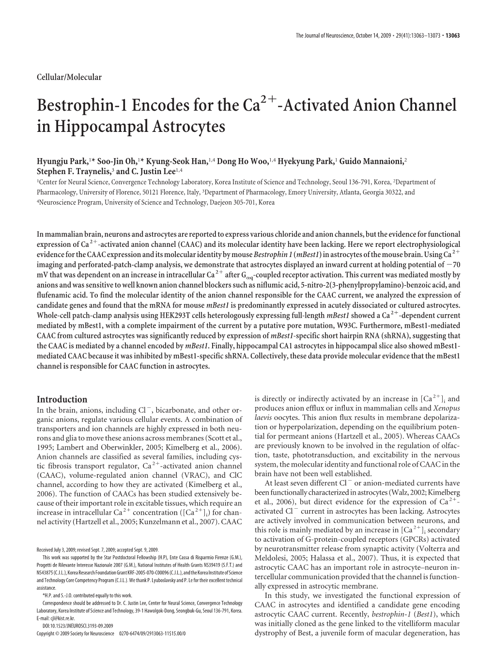 Activated Anion Channel in Hippocampal Astrocytes