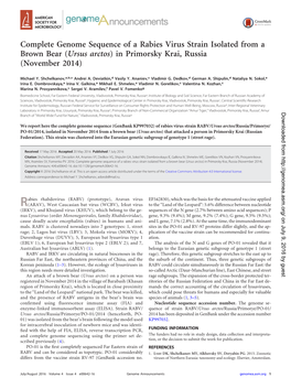 Complete Genome Sequence of a Rabies Virus Strain Isolated from a Brown Bear (Ursus Arctos) in Primorsky Krai, Russia (November 2014)