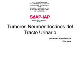Tumores Neuroendocrinos Del Tracto Urinario