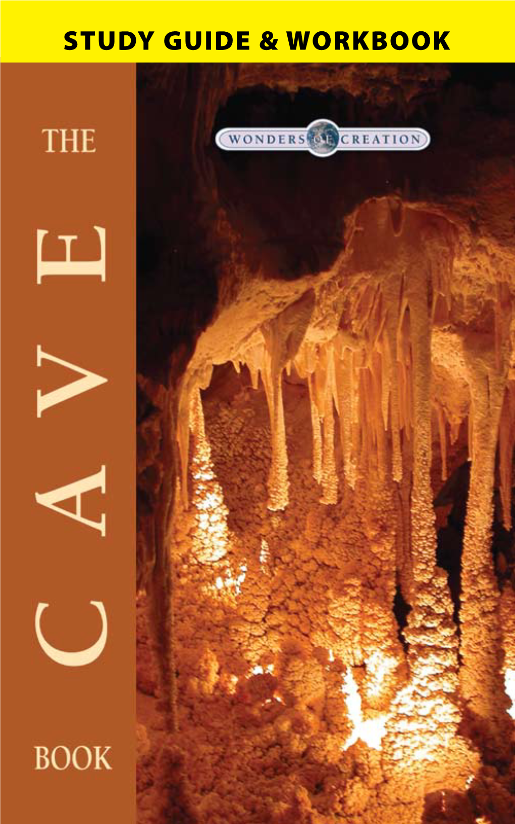 The Cave Book Study Guide &Workbook