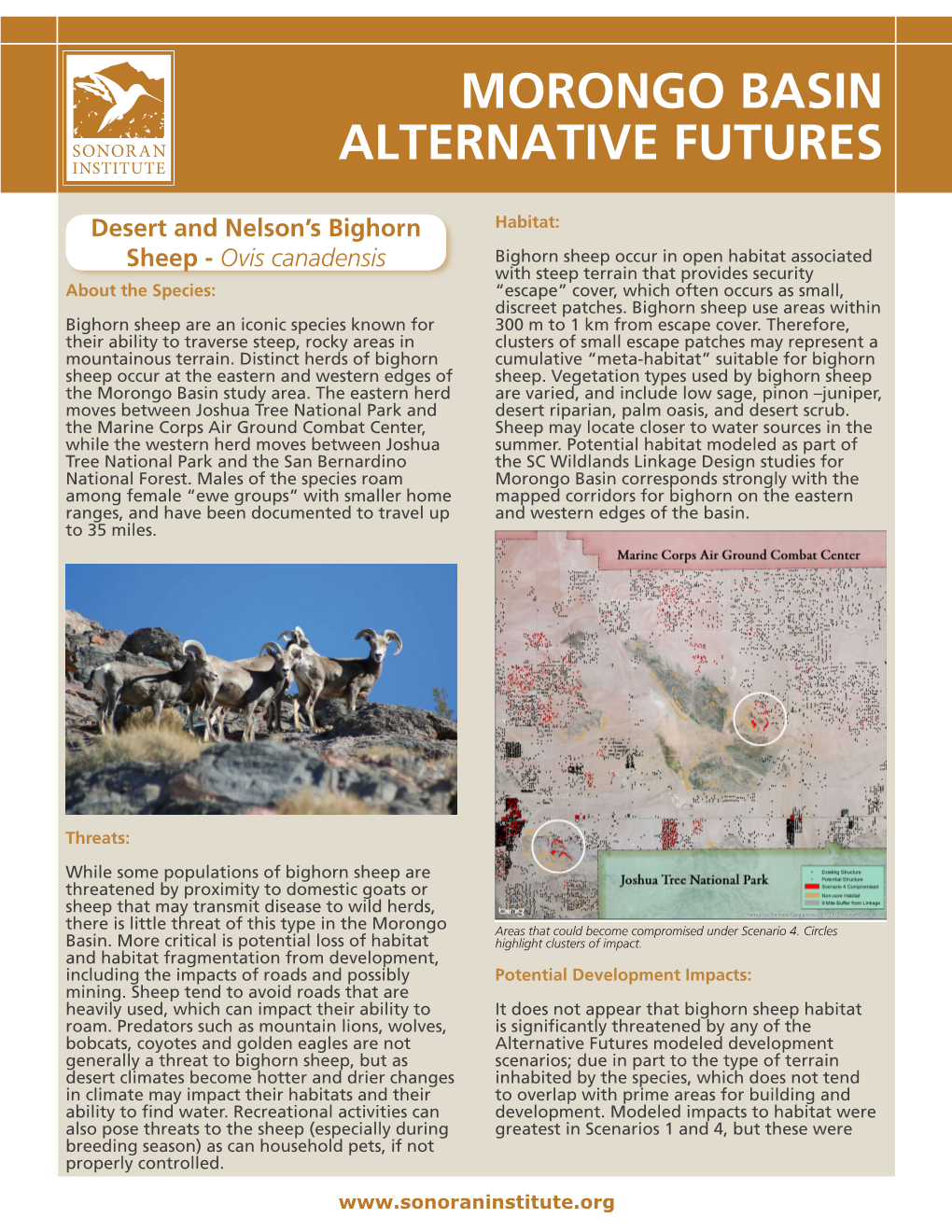 Morongo Basin Alternative Futures