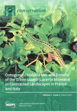 Ontogenetic Habitat Use and Density of the Green Lizard (Lacerta Bilineata) in Contrasted Landscapes in France and Italy