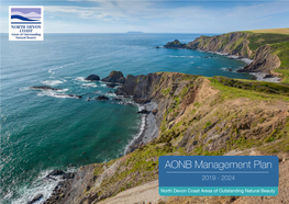 AONB Management Plan 2019 - 2024