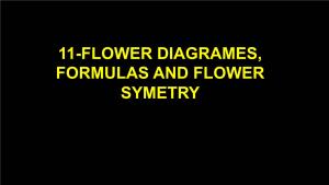11-FLOWER DIAGRAMES, FORMULAS and FLOWER SYMETRY FLOWER FORMULAS and DIAGRAMES