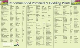 Recommended Perennial & Bedding Plants