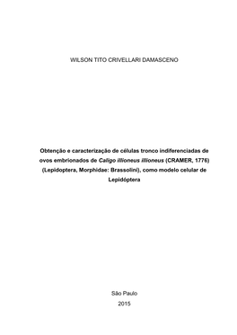 WILSON TITO CRIVELLARI DAMASCENO Obtenção E