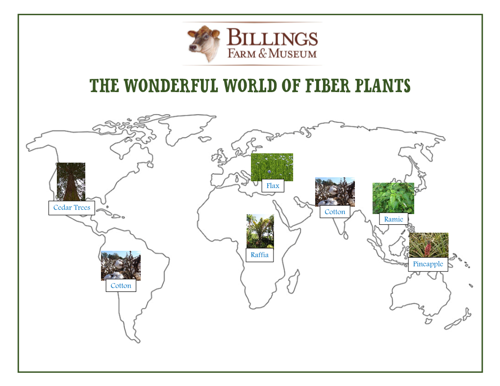 The Wonderful World of Fiber Plants