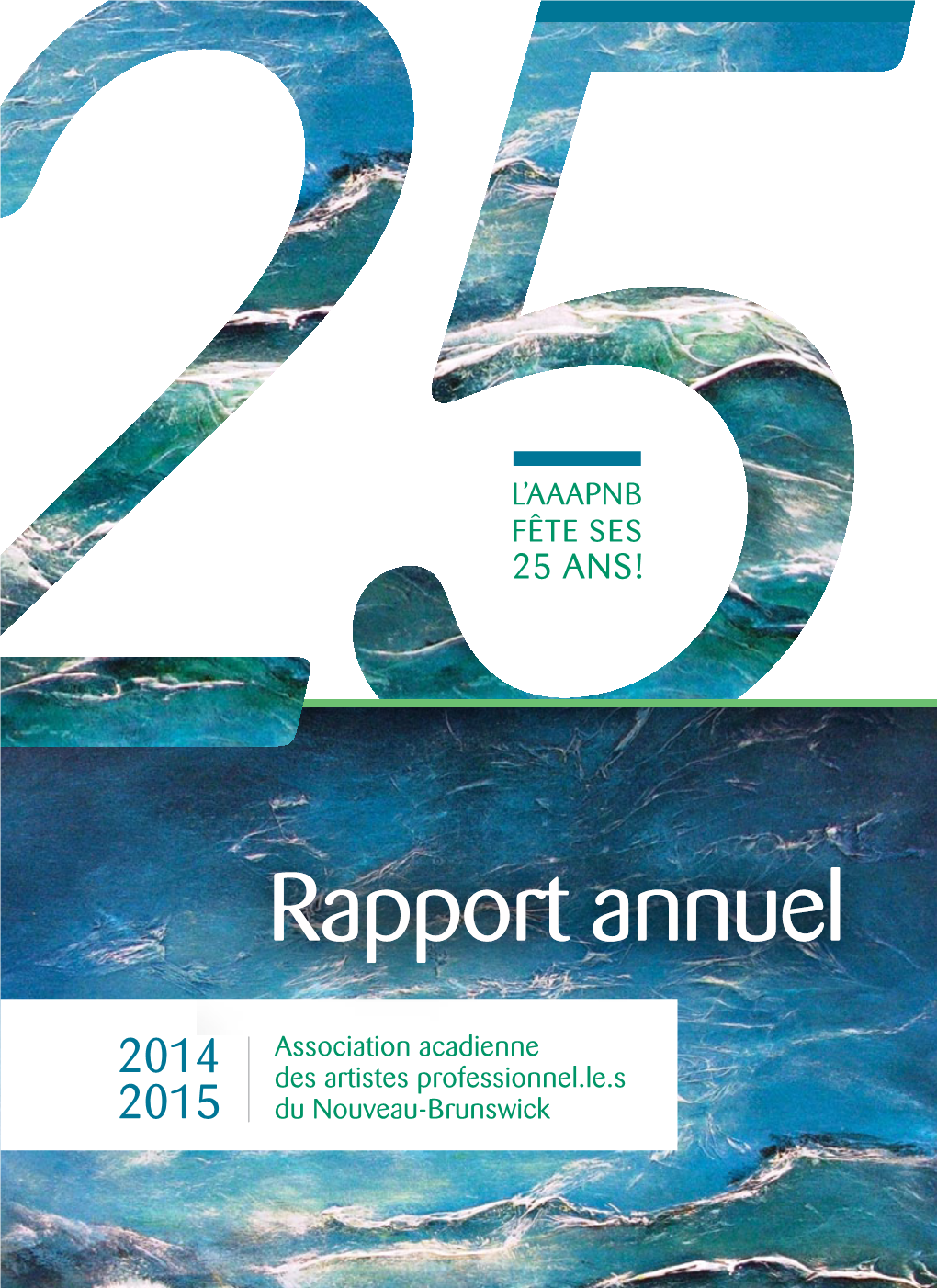 Rapport Annuel