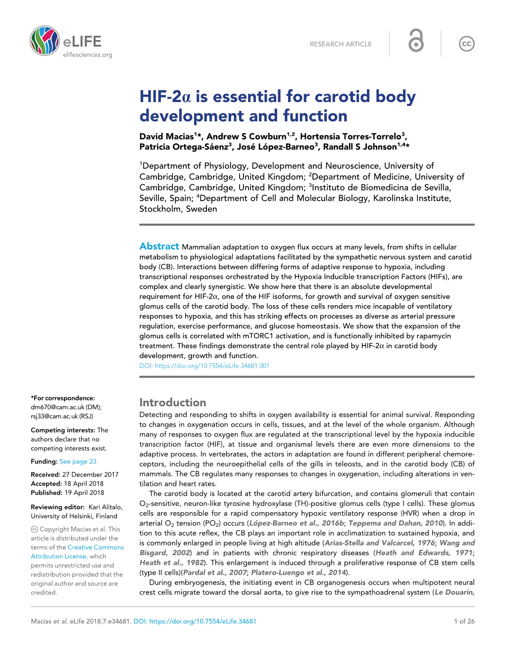 HIF-2A Is Essential for Carotid Body Development and Function