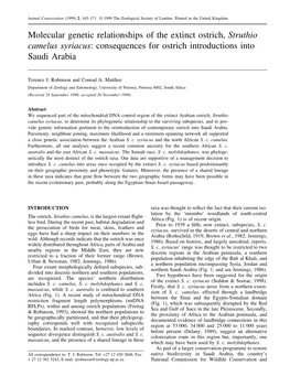 Molecular Genetic Relationships of the Extinct Ostrich, Struthio Camelus Syriacus: Consequences for Ostrich Introductions Into Saudi Arabia