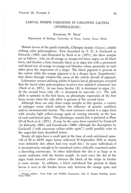 Larval Morph Variation in Chlosyne Lacinia (Nymphalidae)