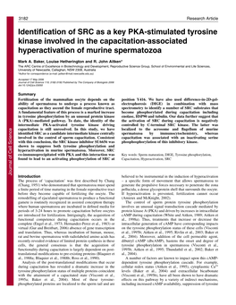 Identification of SRC As a Key PKA-Stimulated Tyrosine Kinase Involved in the Capacitation-Associated Hyperactivation of Murine