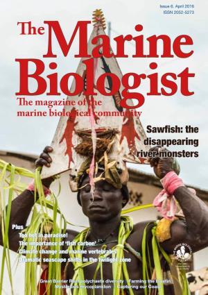 Marine Biologist Is Published by the Marine Biological Association, You Know That Blue Whales in the Important