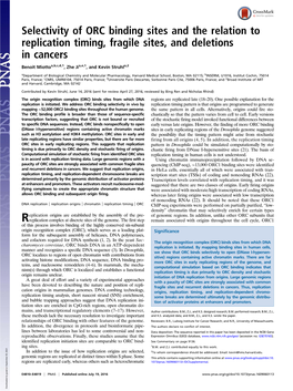 Selectivity of ORC Binding Sites and the Relation to Replication Timing, Fragile Sites, and Deletions in Cancers