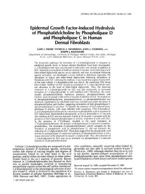 Epidermal Growth Factor-Induced Hydrolysis of Phosphatidylcholine by Phospholipase 'D and Phospholipase C in Human Dermal -Fibroblasts