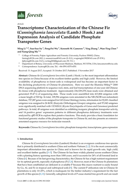 Transcriptome Characterization of the Chinese Fir (Cunninghamia Lanceolata (Lamb.) Hook.) and Expression Analysis of Candidate Phosphate Transporter Genes