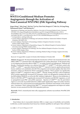 WNT11-Conditioned Medium Promotes Angiogenesis Through the Activation of Non-Canonical WNT-PKC-JNK Signaling Pathway